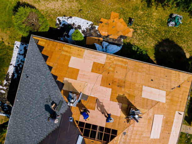 Best Storm Damage Roof Repair  in New Milford, NJ